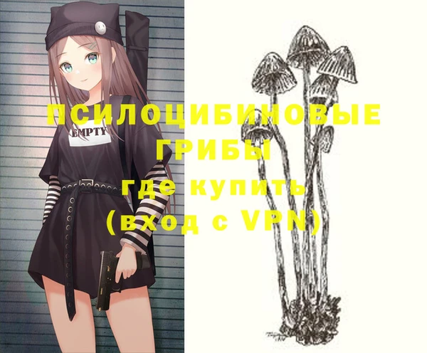 дживик Грязовец