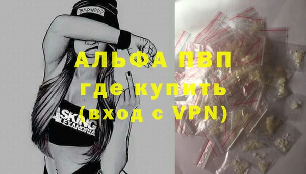 стафф Алексин