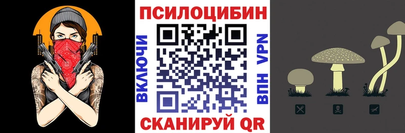 Псилоцибиновые грибы MAGIC MUSHROOMS Кириши
